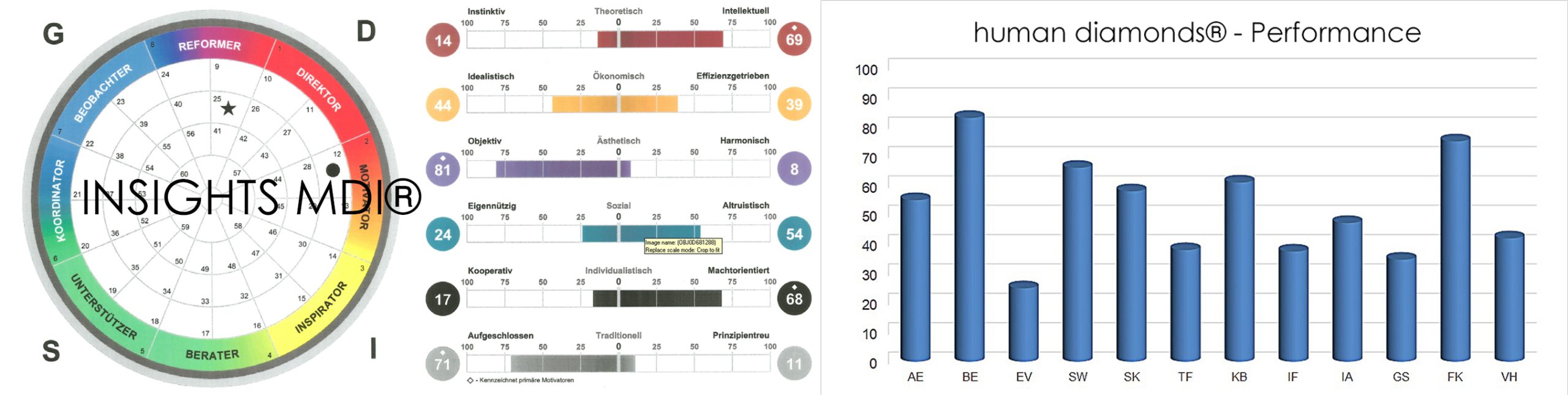 INSIGHTS MDI und human diamonds-Performance